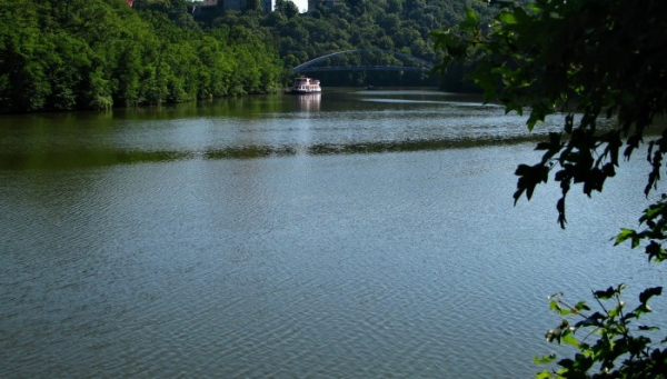 Brno zváží zavedení dalších opatření ke zkvalitnění vody na Brněnské přehradě
