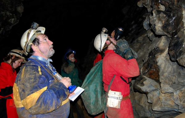 Netopýři v jeskyni Býčí skála v Moravském krasu přezimují v unikátních shlucích
