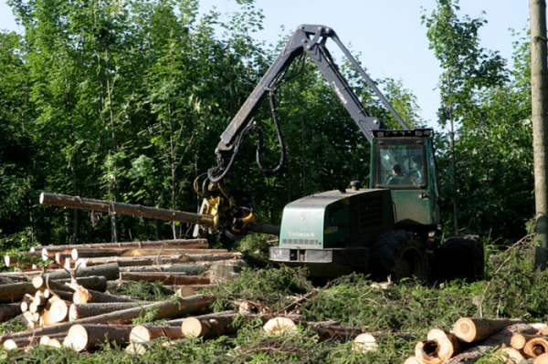 Lesy ČR pomáhají tornádem postižené Moravě