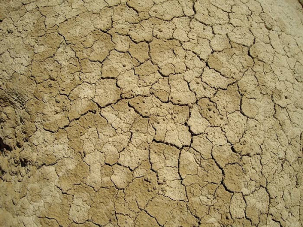 Průzkum dopadů sucha v regionu bude pokračovat i v příštím roce