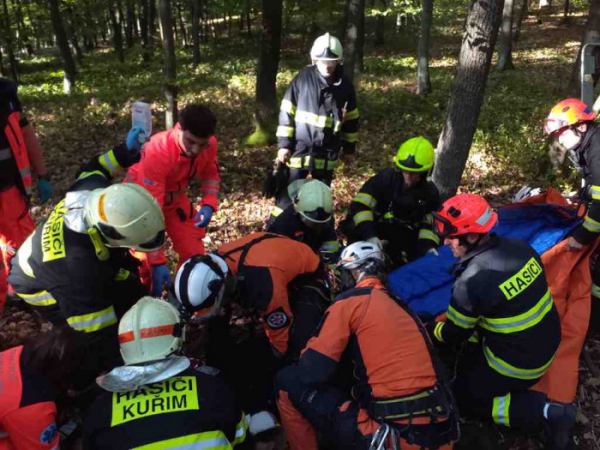 Mladá dívka se nedaleko Kuřimi zranila při pádu z koně, na místo letěl i vrtulník LZS