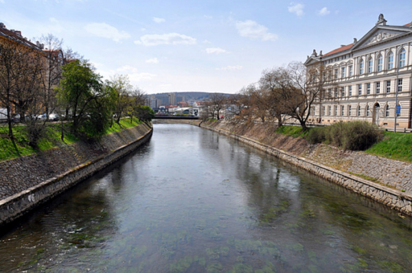 O víkendu rybáři v Brně odloví tříkilometrový úsek řeky Svratky