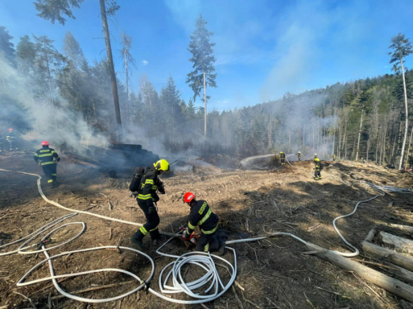 Požár lesního porostu na Rosicku likvidovalo deset jednotek hasičů