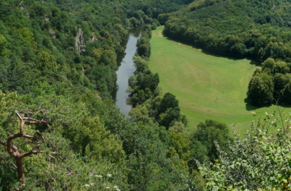 AV ČR: Změna klimatu ovlivňuje vodní bilanci povodí řeky Dyje