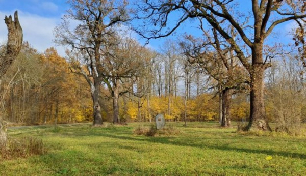 V lužních lesích na jihu Moravy jsou od prosince tři nové přírodní památky